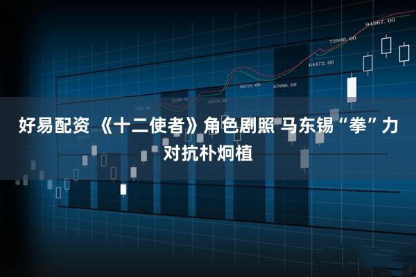 好易配资 《十二使者》角色剧照 马东锡“拳”力对抗朴炯植