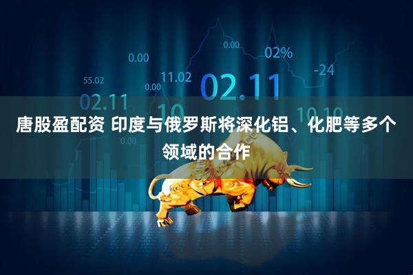 唐股盈配资 印度与俄罗斯将深化铝、化肥等多个领域的合作