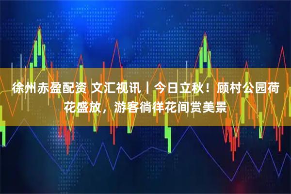 徐州赤盈配资 文汇视讯｜今日立秋！顾村公园荷花盛放，游客徜徉花间赏美景