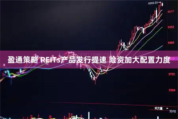 盈通策略 REITs产品发行提速 险资加大配置力度