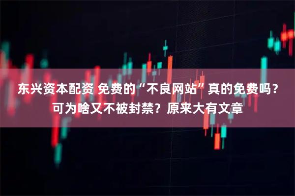 东兴资本配资 免费的“不良网站”真的免费吗？可为啥又不被封禁？原来大有文章