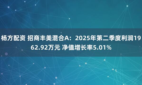 杨方配资 招商丰美混合A：2025年第二季度利润1962.92万元 净值增长率5.01%