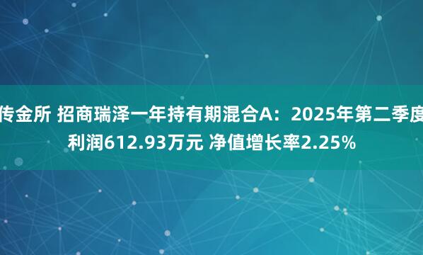 传金所 招商瑞泽一年持有期混合A：2025年第二季度利润612.93万元 净值增长率2.25%