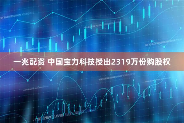 一兆配资 中国宝力科技授出2319万份购股权