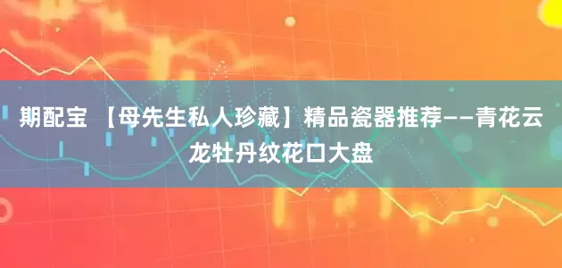 期配宝 【母先生私人珍藏】精品瓷器推荐——青花云龙牡丹纹花口大盘